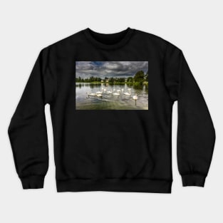 Mute Swans on Carlingwark Loch Photograph Castle Douglas Dumfries and Galloway Crewneck Sweatshirt